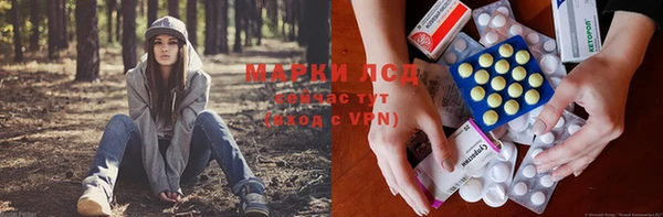 молекула духа Магадан