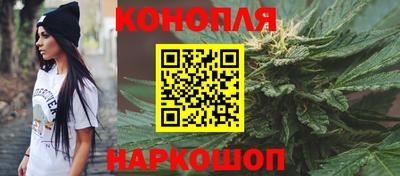 прущие грибы Кандалакша