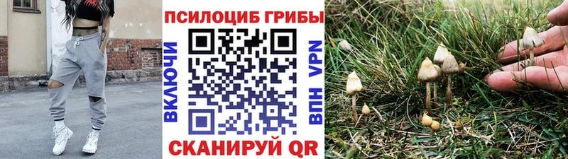 даркнет сайт  Осинники  Галлюциногенные грибы прущие грибы 