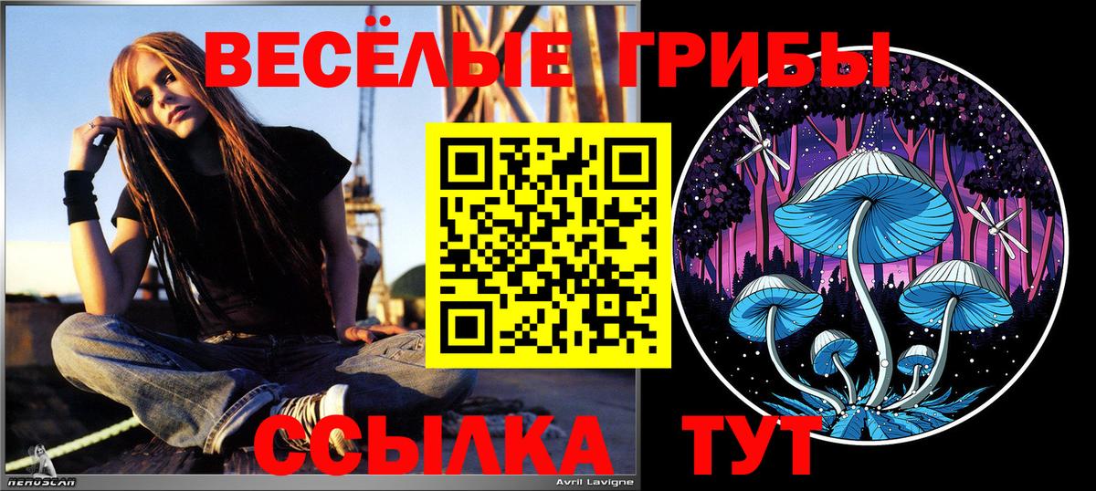 Галлюциногенные грибы ЛСД Осинники