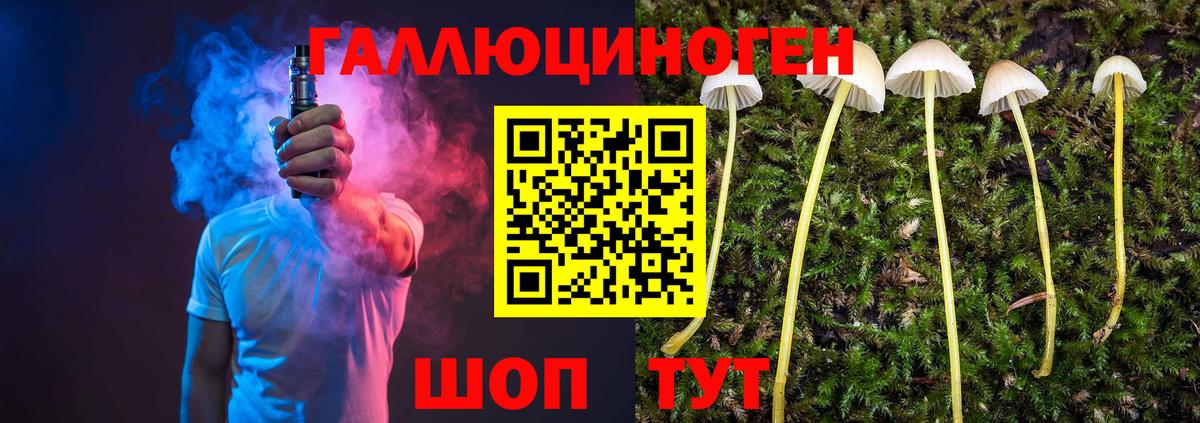 Осинники  Псилоцибиновые грибы Magic Shrooms  Псилоцибиновые грибы прущие грибы  Вход с VPN 