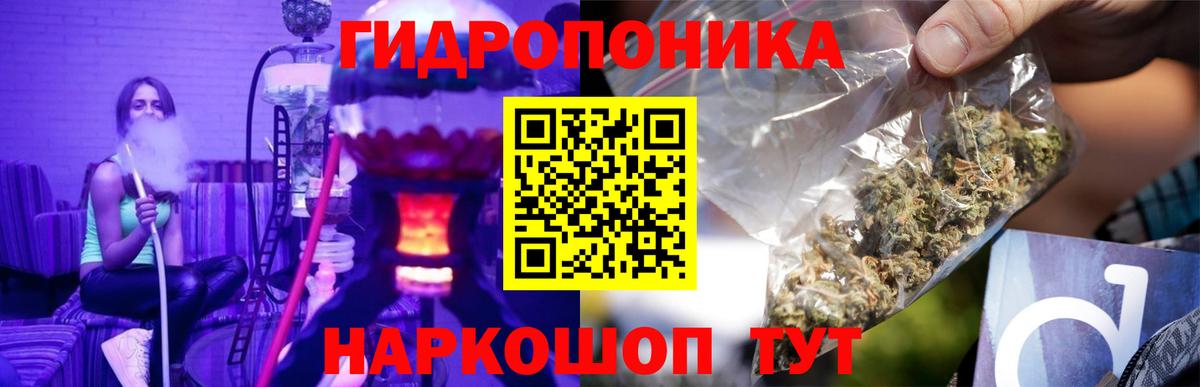 Осинники  Канабис Amnesia  Каннабис AK-47  Бошки Шишки план  Вход с VPN 